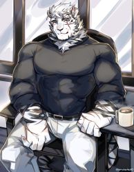 Rule 34 | 1boy, alternate costume, animal ears, arknights, bara, belt, black belt, black sweater, black tank top, bulge, casual, chain necklace, coffee mug, cup, furry, furry male, graysheartart, highres, large pectorals, looking at viewer, male focus, mountain (arknights), mug, muscular, muscular male, necklace, pants, pectorals, scar, scar across eye, scar on face, short hair, sleeves rolled up, smile, solo, sweater, tank top, tiger boy, tiger ears, white fur, white hair, white pants, window