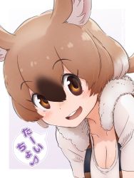 Rule 34 | 1girl, animal ears, breasts, brown eyes, brown hair, cleavage, collarbone, da (bobafett), eyelashes, eyes visible through hair, fur collar, gambian rat (kemono friends), grey hair, hair between eyes, kemono friends, leaning forward, long hair, looking at viewer, mouse ears, mouse girl, multicolored hair, open mouth, parted bangs, ponytail, shirt, smile, solo, translation request, upper body, vest