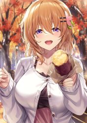 Rule 34 | 1girl, aged up, alternate breast size, alternate costume, autumn leaves, blush, breasts, buttons, cardigan, collarbone, food, gochuumon wa usagi desu ka?, hair ornament, hairclip, highres, holding, holding food, hoto cocoa, ks (xephyrks), large breasts, long sleeves, looking at viewer, maple tree, orange hair, purple eyes, short hair, solo, sweet potato, tree, upper body, white cardigan