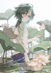Rule 34 | 1boy, 57friend, arm tattoo, flower, genshin impact, green hair, highres, lily pad, looking at viewer, lotus, partially submerged, simple background, tattoo, water, xiao (genshin impact), yellow eyes