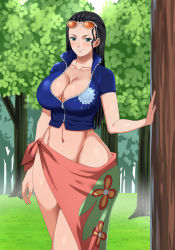 Rule 34 | 1girl, absurdres, black hair, blush, breasts, cleavage, eyewear on head, female focus, forest, highres, large breasts, long hair, looking at viewer, midriff, nature, navel, nico robin, no bra, no panties, one piece, pinkpawg, sarong, shirt, smile, solo, sunglasses, sunglasses on head, tagme, tree, zipper