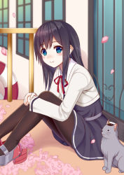 Rule 34 | 10s, 1girl, animal, asashio (kancolle), belt, black dress, black hair, black pantyhose, black skirt, blue eyes, blush, cat, cherry blossoms, commentary request, door, dress, eyebrows, from side, hair between eyes, hands on own knees, hat, hugging own legs, ikeda yuuki, indoors, kantai collection, long hair, long sleeves, looking at viewer, looking to the side, md5 mismatch, neck ribbon, outdoors, pantyhose, peaked cap, petals, pinafore dress, railing, red ribbon, ribbon, school uniform, skirt, sleeveless, sleeveless dress, smile, solo, window
