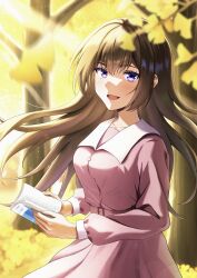 Rule 34 | 1girl, belt, blurry, blurry foreground, book, brown hair, collared dress, dress, ginkgo leaf, highres, holding, holding book, leaf, long hair, long sleeves, looking at viewer, open mouth, original, outdoors, purple eyes, smile, solo, sora harukawa, tree, very long hair