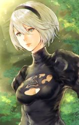Rule 34 | 1girl, android, black dress, blurry, bokeh, breasts, chromatic aberration, cleavage, cleavage cutout, clothing cutout, depth of field, dress, green hair, hair between eyes, hairband, highres, lips, makimura shunsuke, medium breasts, mole, mole under mouth, nier:automata, nier (series), no blindfold, nose, outdoors, plant, puffy sleeves, short hair, silver hair, solo, upper body, 2b (nier:automata)