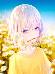 Rule 34 | 1girl, absurdres, blurry, blurry background, daisy, eyebrows hidden by hair, eyeshadow, flat chest, flower, hair behind ear, highres, in mouth, looking at viewer, makeup, nao ri, original, purple eyes, red eyeshadow, shirt, short hair, signature, silver hair, sky, solo, upper body, white flower, yellow shirt