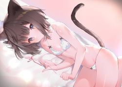 Rule 34 | 1girl, animal ears, bare arms, bare shoulders, bed sheet, blush, bow, bow bra, bow panties, bra, breasts, brown hair, cat ears, cat girl, cat tail, cat teaser, closed mouth, collarbone, commentary request, cona kinaco, holding, looking at viewer, lying, on side, original, panties, pink eyes, red ribbon, ribbon, sidelocks, small breasts, solo, tail, tail raised, underwear, underwear only, white bra, white panties