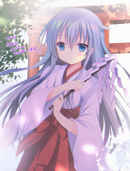 Rule 34 | 1girl, 2021, alternate costume, blue eyes, blue hair, blush, closed mouth, commentary request, gohei, hair between eyes, hakama, hakama skirt, hands up, hibiki (kancolle), holding, japanese clothes, kantai collection, kimono, long hair, long sleeves, looking at viewer, miko, red hakama, shirogane hina, skirt, solo, torii, translation request, very long hair, white kimono, wide sleeves