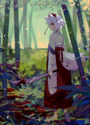 Rule 34 | 1girl, animal ears, bamboo, bamboo forest, barefoot, blood, blood on clothes, blood on ground, blood splatter, blood stain, bloody weapon, bow, expressionless, facing to the side, falling leaves, forest, full body, hair between eyes, hakama, hakama skirt, hat, highres, holding, holding sword, holding weapon, inubashiri momiji, japanese clothes, leaf, long skirt, long sleeves, looking at viewer, nature, outdoors, profile, red bow, red eyes, red hakama, red hat, red sash, red skirt, sash, shi chimi, shirt, short hair, sidelocks, sideways glance, skirt, solo, standing, sword, tail, tokin hat, touhou, weapon, white hair, white shirt, wide sleeves, wolf ears, wolf tail