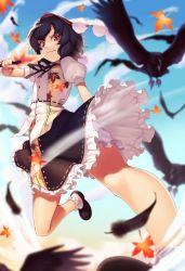 Rule 34 | 1girl, autumn leaves, bird, black bow, black footwear, black hair, black neckwear, black skirt, blue sky, bow, buttons, closed mouth, cloud, cloudy sky, feathers, flying, hand up, hat, kaiza (rider000), leaf print, light, looking at viewer, pants, pom pom (clothes), puffy short sleeves, puffy sleeves, red eyes, red hat, shadow, shameimaru aya, shirt, shoes, short hair, short sleeves, skirt, sky, smile, socks, solo, tokin hat, touhou, white pants, white shirt, white sleeves, white socks, wings, yellow sky