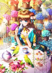 Rule 34 | 1girl, aile (crossroads), bad id, bad pixiv id, bird, blue eyes, brown hair, cup, double bun, dress, flower, flower pot, food, hair bun, hair flower, hair ornament, hydrangea, long hair, macaron, original, parakeet, plant, potted plant, puffy sleeves, short sleeves, smile, solo, table, tablecloth, tea, teacup, teapot, tiered tray
