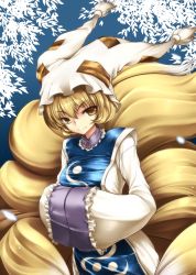 Rule 34 | 1girl, animal ears, bad id, bad pixiv id, blonde hair, female focus, fox ears, fox tail, hands in opposite sleeves, hat, highres, multiple tails, narumizg, nature, plant, short hair, solo, tail, touhou, yakumo ran, yellow eyes