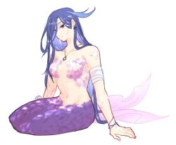 Rule 34 | 1girl, bandaged arm, bandages, breasts, clorinde (genshin impact), commentary request, genshin impact, jewelry, long hair, mermaid, mizuchi kai, monster girl, navel, no headwear, pendant, purple eyes, purple hair, simple background, sitting, small breasts, solo, stomach, very long hair, white background