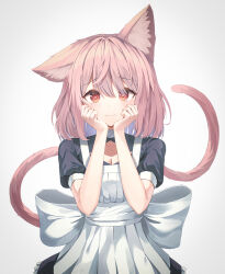 Rule 34 | 1girl, animal ear fluff, animal ears, apron, black dress, blush, breasts, brown eyes, brown hair, cat ears, cat girl, cat tail, cleavage, closed mouth, collarbone, commentary request, dress, frilled dress, frills, grey background, hair between eyes, highres, looking at viewer, medium breasts, original, puffy short sleeves, puffy sleeves, shiro (acad1213), short sleeves, simple background, smile, solo, tail, unaligned ears, upper body, white apron
