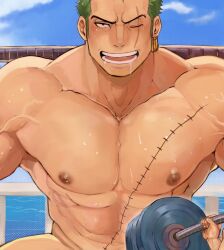 Rule 34 | 1boy, abs, bara, barbell, blush, completely nude, cropped, drooling, earrings, exercising, green hair, highres, jewelry, large pectorals, long sideburns, male focus, mature male, muscular, muscular male, nipples, nude, one eye closed, one piece, open mouth, out-of-frame censoring, paid reward available, pectorals, robokeh, roronoa zoro, scar, scar across eye, scar on chest, short hair, sideburns, sky, stitches, stomach, sweat, veins, veiny arms, very sweaty, weightlifting