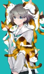 Rule 34 | 1girl, animal, animal on arm, animal on shoulder, cat, closed mouth, cowboy shot, green eyes, green neckerchief, grey hair, grey sailor collar, grey shirt, highres, long sleeves, looking at viewer, medium hair, neckerchief, noricopo (nori0w0), original, own hands together, sailor collar, school uniform, serafuku, shirt, sleeves past wrists, slit pupils, solo, tabby cat, too many, too many cats, worried