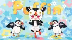 Rule 34 | animal, animal ears, animated, atlantic puffin (kemono friends), dancing, kemono friends, kikuchi milo, video, smile, tail