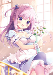 Rule 34 | 1girl, :d, blue bow, blurry, blurry background, blush, bow, breasts, cleavage, day, depth of field, flower, hair bow, head tilt, highres, holding, indoors, long hair, looking at viewer, maid headdress, medium breasts, melonbooks, miyasaka naco, non-web source, open mouth, original, panties, pantyshot, pink flower, pink hair, puffy short sleeves, puffy sleeves, purple eyes, purple flower, ribbon-trimmed clothes, ribbon trim, shirt, short sleeves, smile, solo, standing, sunlight, two side up, underwear, upper body, upskirt, white flower, white panties, white shirt, wind, wind lift, window, wrist cuffs