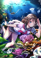 Rule 34 | &gt;;), 10s, 1girl, air bubble, barefoot, bent over, black skirt, blue eyes, blush, breasts, breath, brown hair, bubble, collarbone, coral, fish, freediving, full body, highres, holding breath, jellyfish, love live!, love live! sunshine!!, medium breasts, neckerchief, salute, school uniform, serafuku, shirt, short sleeves, skirt, solo, sunlight, swimming, swordsouls, tie clip, underwater, v-shaped eyebrows, watanabe you, white shirt
