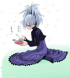 Rule 34 | 00s, 1girl, blush, book, darker than black, dress, from side, full body, green background, holding, holding book, long sleeves, open book, pantyhose, ponytail, profile, purple dress, reading, satou atsuki, short hair, silver hair, simple background, solo, yin (darker than black)