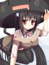 Rule 34 | 1girl, animal ears, black hair, black thighhighs, borrowed character, cameo, cat ears, cat tail, hat, highres, long hair, mia flatpaddy, original, red eyes, shirasu youichi, solo, tail, thighhighs