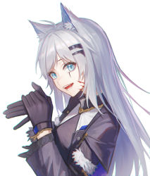 Rule 34 | 1girl, absurdres, animal ear fluff, animal ears, arknights, black gloves, black jacket, blue eyes, commentary request, fang, gloves, grey hair, hair ornament, hairclip, highres, jacket, lappland (arknights), long hair, long sleeves, looking at viewer, open mouth, scar, scar across eye, simple background, smile, solo, teeth, white background, wolf ears, yidie