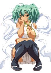 Rule 34 | 00s, 1girl, black thighhighs, breasts, china dress, chinese clothes, cleavage, cleavage cutout, clothing cutout, dress, female focus, green eyes, green hair, ikkitousen, large breasts, long hair, matching hair/eyes, official art, ryofu housen, simple background, smile, solo, squatting, thighhighs, twintails