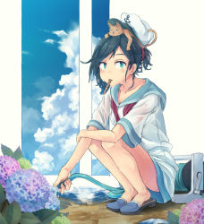 Rule 34 | 1girl, alternate hairstyle, anchor symbol, animal, animal on head, bare arms, bare legs, black hair, blue eyes, blue fire, blue sky, blurry, blush, cat, cat on head, clog sandals, cloud, collarbone, day, depth of field, dress, dripping, fire, flower, full body, hair tie, hand on own arm, hat, holding, hose, hot, hydrangea, looking at viewer, mouth hold, mumyuu, murasa minamitsu, neckerchief, on head, pink flower, ponytail, projected inset, puddle, reflection, sailor collar, sailor dress, sailor hat, short dress, short hair, short sleeves, sky, solo, squatting, sweat, swept bangs, touhou, undone neckerchief, water, wet, white dress, white hat