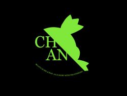 Rule 34 | 4chan, black background, dark, green theme, highres, logo, monochrome, neon genesis evangelion, nerv, parody, wallpaper, yotsubato!