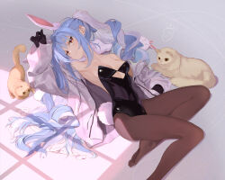 Rule 34 | 1girl, absurdres, animal ears, beek, black gloves, black leotard, blue hair, breasts, brown eyes, brown pantyhose, cat, closed mouth, don-chan (usada pekora), extra ears, gloves, highres, hololive, jacket, leotard, long sleeves, lying, multicolored hair, no shoes, on back, open clothes, open jacket, pantyhose, playboy bunny, rabbit ears, simple background, small breasts, solo, strapless, strapless leotard, thick eyebrows, twintails, two-tone hair, usada pekora, usada pekora (1st costume), virtual youtuber, white hair, white jacket