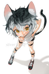 Rule 34 | 1girl, :3, :p, animal ears, cat ears, cat tail, female focus, foreshortening, gotou (nekocat), highres, leaning forward, looking at viewer, messy hair, original, short hair, silver hair, simple background, solo, tail, tongue, tongue out, white background, yellow eyes