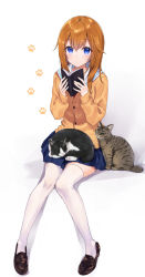 Rule 34 | 1girl, animal, animal on lap, black footwear, blue eyes, blue skirt, blush, book, brown cardigan, brown hair, buttons, cardigan, cat, closed mouth, commentary request, full body, hands up, highres, holding, holding book, invisible chair, loafers, long hair, long sleeves, looking at viewer, miniskirt, on lap, open book, original, paw print, paw print background, rimo, sailor collar, school uniform, shadow, shoe dangle, shoes, simple background, sitting, skirt, sleeves past wrists, solo, thighhighs, white background, white sailor collar, white thighhighs, zettai ryouiki