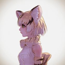 Rule 34 | 10s, 1girl, animal ear fluff, animal ears, animal print, black hair, blonde hair, blouse, bow, bowtie, breasts, cat ears, extra ears, eyelashes, from side, gradient hair, highres, kemono friends, lips, multicolored hair, nose, profile, realistic, sand cat (kemono friends), sand cat print, shirt, sleeveless, sleeveless shirt, small breasts, solo, takami masahiro, upper body, white hair, white shirt, yellow eyes
