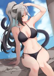 Rule 34 | 1girl, absurdres, animal ears, arknights, bikini, black bikini, black hair, blue sky, blush, breasts, cat ears, cat tail, closed mouth, cloud, cloudy sky, commentary request, day, frown, gradient background, grey hair, halterneck, hand in own hair, highres, horizon, large breasts, long hair, looking at viewer, navel, ocean, outdoors, ponytail, rin mokkomoko, schwarz (arknights), short hair with long locks, side-tie bikini bottom, sitting, sky, solo, swimsuit, tail, yellow eyes