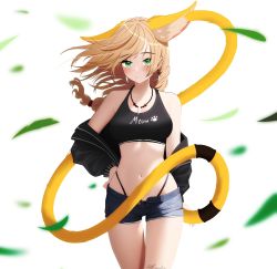Rule 34 | 1girl, absurdres, acetylcholine, animal ears, blonde hair, breasts, cat ears, cat girl, cat tail, g-string, green eyes, highres, jacket, looking at viewer, medium breasts, open clothes, open jacket, short hair, shorts, solo, sports bra, tail, thong, very long tail