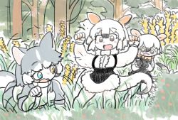 Rule 34 | 3girls, animal ears, black hair, blue eyes, brown eyes, commentary, day, dog (mixed breed) (kemono friends), dog ears, fang, forest, grass, grey hair, gunzan, hair between eyes, hands up, heterochromia, highres, kemono friends, multicolored hair, multiple girls, nature, open mouth, outdoors, paw pose, plant, short hair, southern tamandua (kemono friends), southern tamandua ex (kemono friends), tamandua ears, tamandua tail, two-tone hair, white hair, yellow eyes