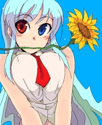 Rule 34 | 1girl, breasts, breasts squeezed together, covered erect nipples, flower, heterochromia, kusanagi tonbo, mouth hold, oekaki, original, simple background, solo, sunflower