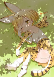 Rule 34 | 10s, 1girl, ;&lt;, animal ears, ankle boots, ass, bare shoulders, black ribbon, blush, body blush, boots, bow, bowtie, brown eyes, clenched hands, dappled sunlight, day, dot nose, elbow gloves, footwear ribbon, full body, gloves, grass, kemono friends, looking at viewer, lying, muu rian, on side, one eye closed, orange hair, outdoors, raised eyebrow, ribbon, rubbing eyes, serval (kemono friends), serval print, serval tail, shadow, shiny skin, shirt, shoe soles, short hair, skirt, sleepy, sleeveless, sleeveless shirt, solo, striped tail, sunlight, tail, tareme, thighhighs, twitter username, white footwear, white shirt