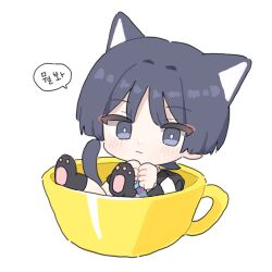 1boy alternate_costume animal_ears animal_hands backpack bag black_bag black_eyes black_hair blunt_ends bright_pupils cat_ears cat_paws cat_tail clenched_hands closed_mouth cup eyeliner eyeshadow genshin_impact hair_intakes in_container in_cup korean_text light_blush makeup male_focus nomi_(crazyab0utyou) official_alternate_costume own_hands_together parted_bangs paw_pose red_eyeliner red_eyeshadow scaramouche_(genshin_impact) solo speech_bubble tail translation_request wanderer_(genshin_impact) wanderer_(mega_mgc_coffee)_(genshin_impact) white_pupils