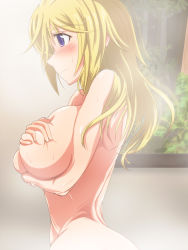 Rule 34 | 10s, 1girl, blonde hair, blue eyes, blush, breast rest, breasts, breasts squeezed together, charlotte dunois, covering privates, covering breasts, huge breasts, infinite stratos, large breasts, nude, painting (object), shiny skin, solo, steam, tsubooi