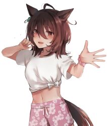 1girl agnes_tachyon_(umamusume) ahoge alternate_costume animal_ears breasts brown_hair commentary_request earrings floral_print_shorts gaze_on_me!_outfit_(umamusume) hair_between_eyes horse_ears horse_girl horse_tail jewelry looking_at_viewer medium_breasts messy_hair midriff navel nazuka_(mikkamisaki) pink_scrunchie pink_shorts red_eyes scrunchie shirt short_hair short_sleeves shorts simple_background single_earring solo stomach sweat tail tied_shirt umamusume white_background wrist_scrunchie