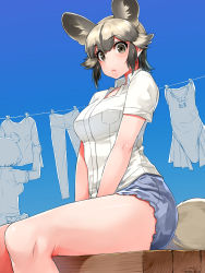 Rule 34 | 10s, 2girls, african wild dog (kemono friends), animal ears, bare arms, bare legs, bear ears, bear tail, between legs, black hair, blue sky, breast pocket, brown bear (kemono friends), clothesline, collared shirt, day, dog ears, dog tail, drying, drying clothes, grey hair, hand between legs, happa (cloverppd), kemono friends, laundry, lips, looking at viewer, multicolored hair, multiple girls, outdoors, parted lips, pocket, shirt, short hair, short sleeves, shorts, sitting, skirt, sky, solo focus, standing, tail, thighs, white shirt, wing collar