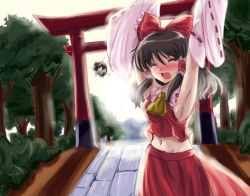 Rule 34 | 2girls, armpits, arms up, blush, bow, brown hair, detached sleeves, female focus, flx, forest, hakurei reimu, hat, japanese clothes, midriff, miko, multiple girls, nature, navel, outdoors, plant, shameimaru aya, skirt, sky, torii, touhou