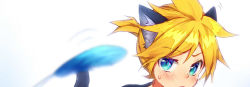 Rule 34 | 1boy, animal ears, blonde hair, blue eyes, blush, cat day, cat ears, cat teaser, commentary request, kagamine len, looking at object, male focus, nyaumineko, raised eyebrow, short ponytail, spiked hair, sweat, vocaloid, white background