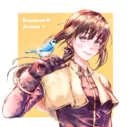 Rule 34 | 1girl, acolyte (ragnarok online), bird, bird on hand, blue jay, blush, border, breasts, brown gloves, brown hair, brown shirt, capelet, character name, commentary request, copyright name, gloves, highres, long hair, long sleeves, looking to the side, medium breasts, nanaya (shohei77), outside border, parted lips, purple eyes, ragnarok online, shirt, simple background, smile, solo, sparkle, upper body, white border, white capelet, yellow background