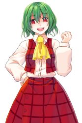 Rule 34 | 1girl, :d, ascot, clenched hand, crote, female focus, green hair, hand on own hip, highres, hip focus, kazami yuuka, open mouth, plaid, plaid skirt, plaid vest, red eyes, shaded face, shirt, short hair, skirt, smile, solo, surprised, touhou, transparent background, vest, yandere