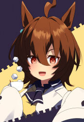 Rule 34 | 1girl, agnes tachyon (umamusume), ahoge, animal ears, brown eyes, brown hair, collared shirt, cup, earrings, hair between eyes, hakusai o m t, holding, holding cup, horse ears, horse girl, jacket, jewelry, lab coat, long sleeves, looking at viewer, necktie, open mouth, red eyes, shirt, short hair, single earring, sleeves past fingers, sleeves past wrists, smile, solo, sugar cube, tail, teacup, umamusume, upper body