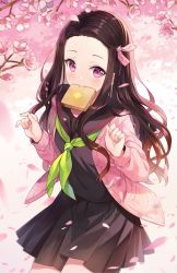 Rule 34 | 1girl, black hair, black sailor collar, black serafuku, black shirt, black skirt, blurry, blurry foreground, blush, bread slice, breasts, brown hair, cardigan, cherry blossoms, closed mouth, commentary, depth of field, english commentary, fingernails, flower, food, food in mouth, forehead, gradient hair, green neckerchief, hair ribbon, highres, hitsukuya, kamado nezuko, kimetsu no yaiba, long hair, long sleeves, looking at viewer, mouth hold, multicolored hair, nail polish, neckerchief, open cardigan, open clothes, parted bangs, petals, pink cardigan, pink eyes, pink flower, pink hair, pink nails, pink ribbon, pleated skirt, ribbon, sailor collar, school uniform, serafuku, shirt, skirt, small breasts, solo, toast, toast in mouth, two-tone hair, very long hair