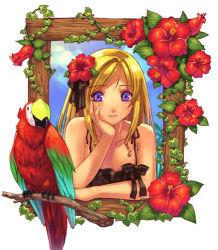 Rule 34 | 1girl, bird, blonde hair, flower, hibiscus, hirano katsuyuki, lowres, parrot, purple eyes, solo, tropical, white background