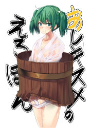 Rule 34 | 1girl, blush, breasts, bucket, cleavage, female focus, green eyes, green hair, hair bobbles, hair ornament, japanese clothes, kimono, kisume, looking at viewer, matching hair/eyes, robe, see-through, simple background, small breasts, smile, solo, sora-bozu, touhou, twintails, water, wet, white background