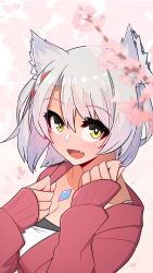 Rule 34 | 1girl, :d, absurdres, amulet, animal ear fluff, animal ears, blurry, blurry foreground, blush, breasts, cherry blossoms, cleavage, clenched hands, eyelashes, fang, hair between eyes, hands up, heart, highres, jacket, long sleeves, looking at viewer, looking up, medium breasts, mio (xenoblade), open mouth, osora (judithandlilith), red jacket, short hair, skin fang, sleeves past wrists, smile, solo, swept bangs, upper body, white hair, xenoblade chronicles (series), xenoblade chronicles 3, yellow eyes